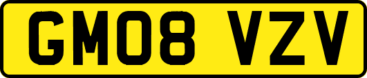 GM08VZV