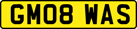 GM08WAS