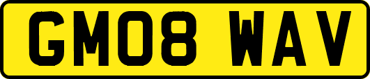 GM08WAV