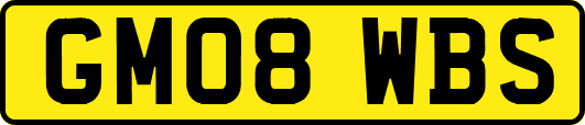 GM08WBS