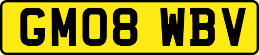 GM08WBV