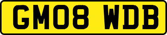GM08WDB