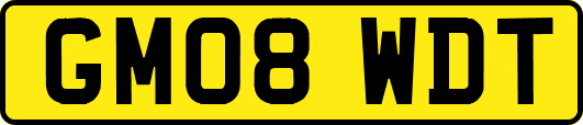 GM08WDT