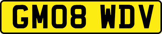 GM08WDV