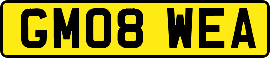 GM08WEA