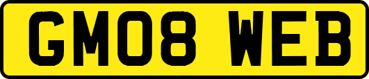 GM08WEB