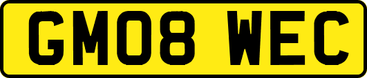 GM08WEC