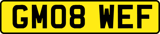 GM08WEF