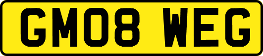 GM08WEG