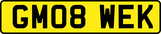 GM08WEK