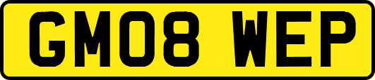 GM08WEP