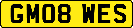 GM08WES