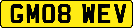 GM08WEV