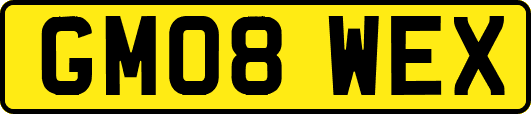 GM08WEX