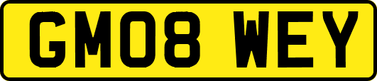 GM08WEY