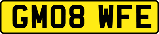 GM08WFE