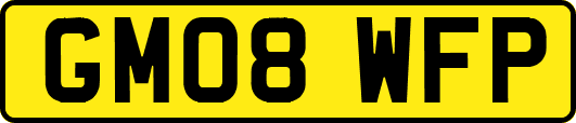 GM08WFP