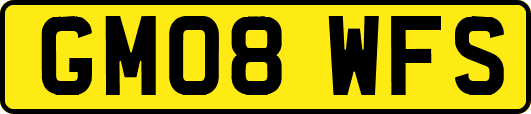 GM08WFS