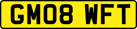 GM08WFT
