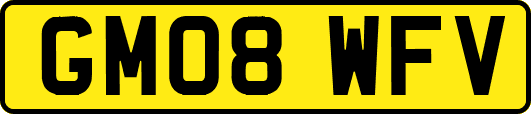 GM08WFV