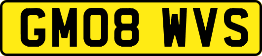 GM08WVS