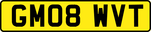 GM08WVT
