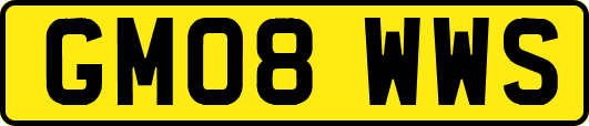 GM08WWS