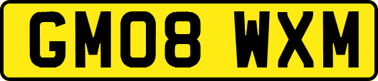 GM08WXM