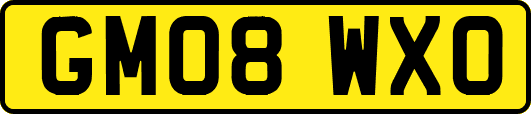 GM08WXO