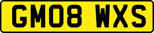 GM08WXS