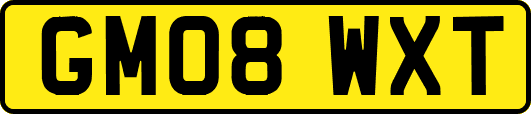 GM08WXT
