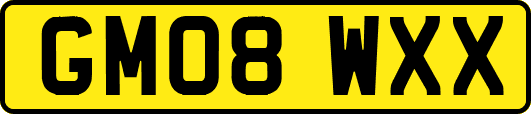 GM08WXX