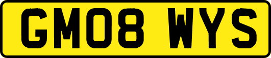 GM08WYS