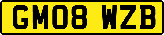 GM08WZB