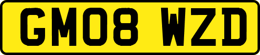 GM08WZD