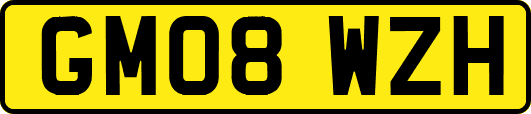 GM08WZH