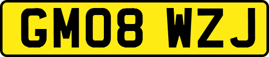GM08WZJ