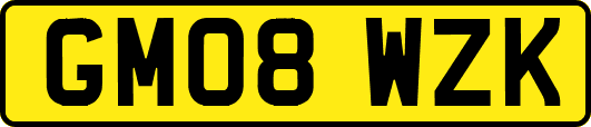 GM08WZK