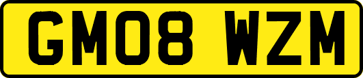GM08WZM