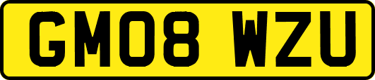 GM08WZU