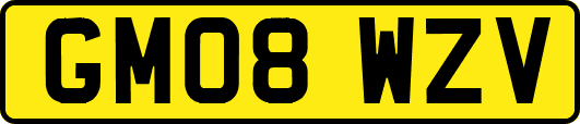 GM08WZV