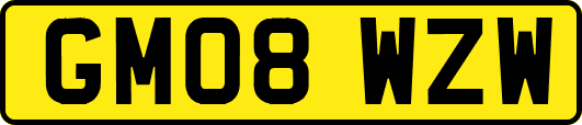 GM08WZW