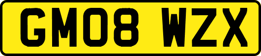 GM08WZX