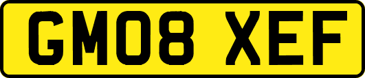 GM08XEF