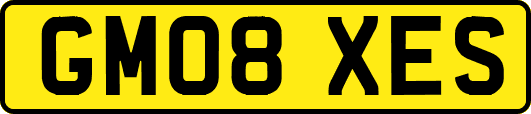 GM08XES