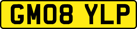 GM08YLP