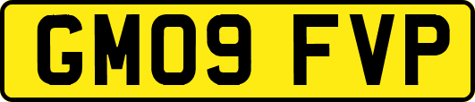GM09FVP