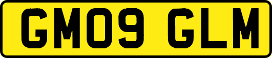GM09GLM