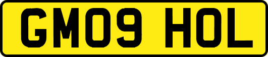 GM09HOL