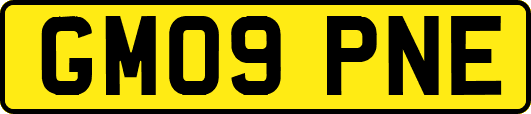 GM09PNE
